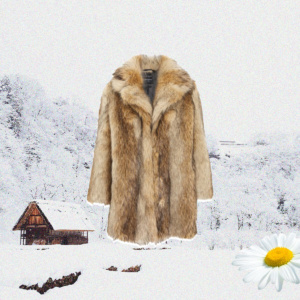 Fur coats mix for 9€/kg