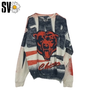 10 USA University sweatshirts bundle of 6,5kg
