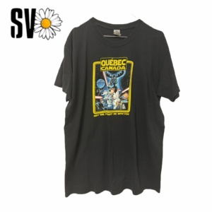 10 vintage t-shirts bundle of 2.3kg